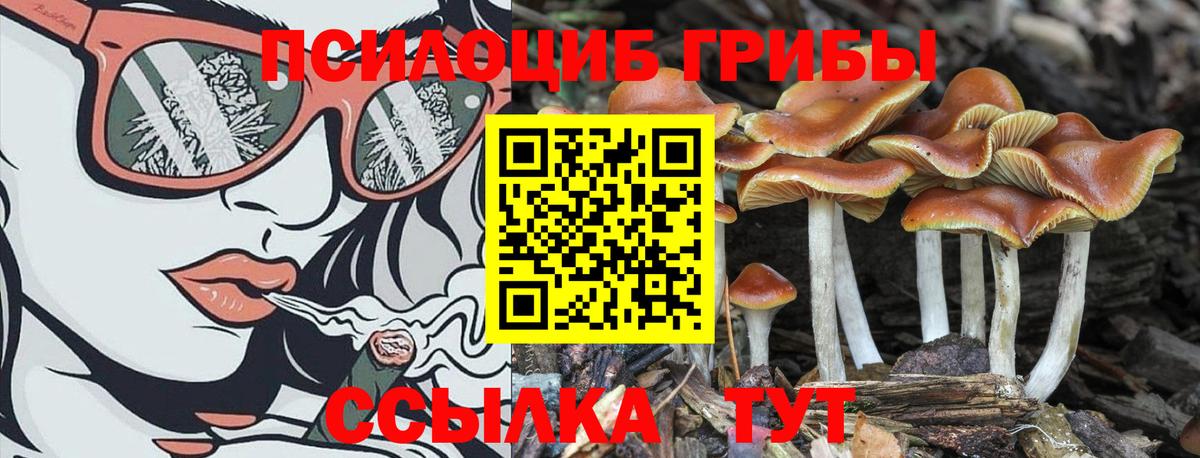 Галлюциногенные грибы прущие грибы Лыткарино